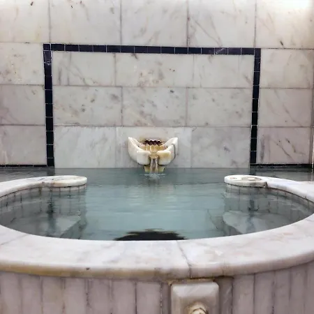 Otel Yıldız Termal 3*